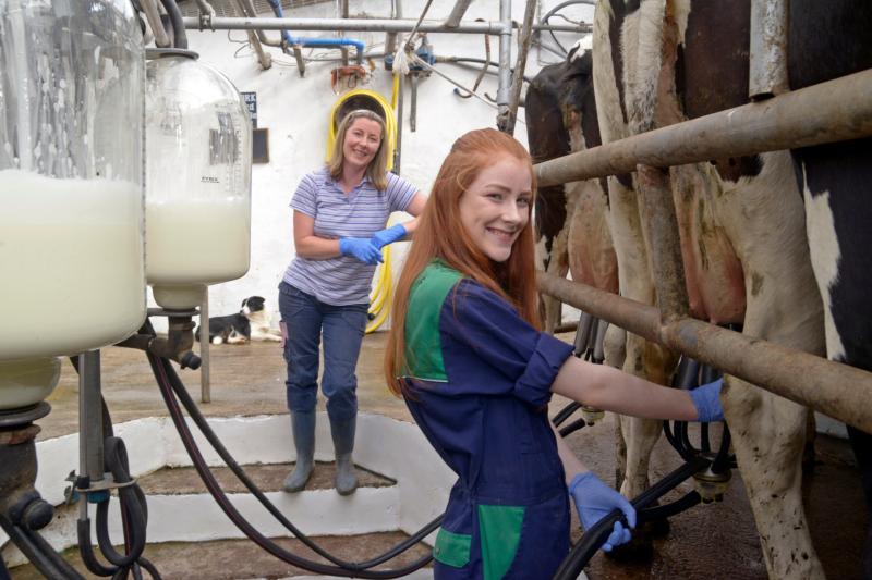 Just three female farmers in Longford take part in the Knowledge Transfer Scheme