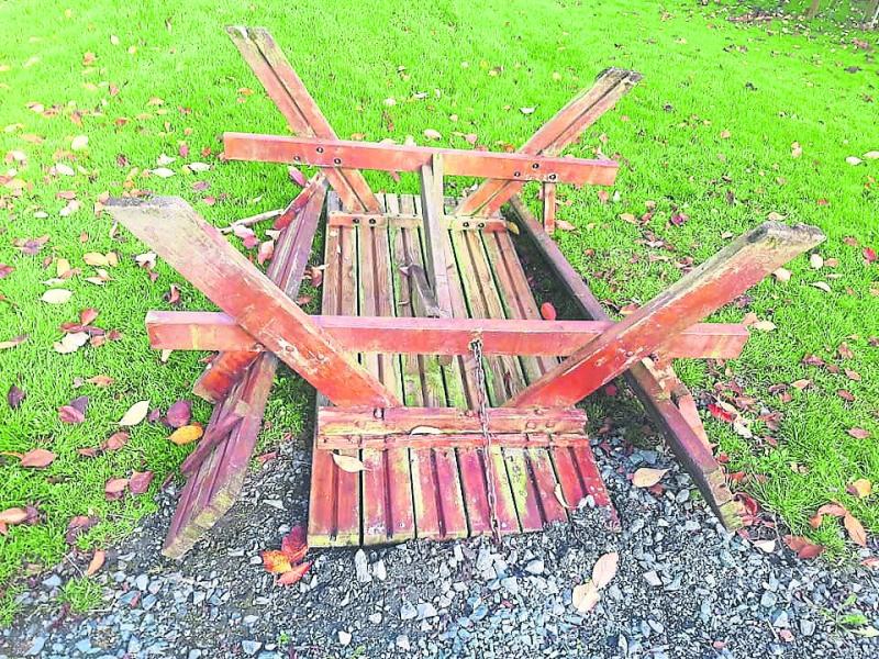 Vandals in Ballinalee playground attack