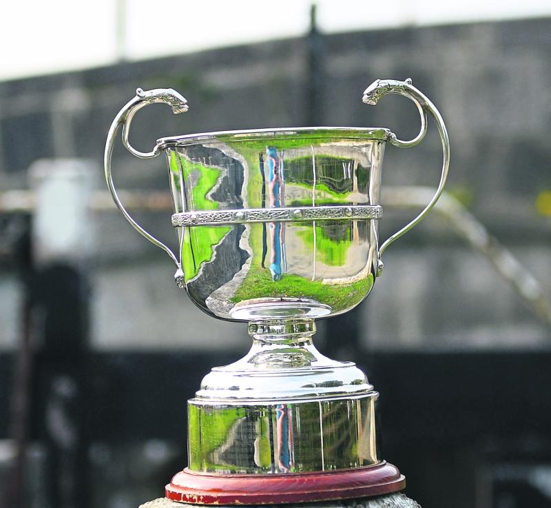 mulleady group intermediate football championship