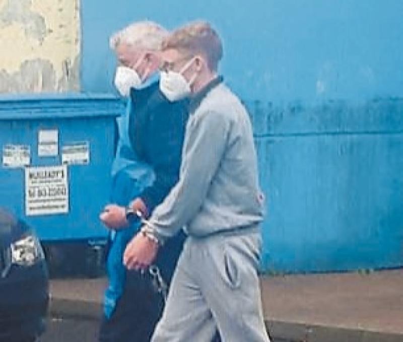 Longford teen jailed for six months for 'vicious and unprovoked' attack on dog walker