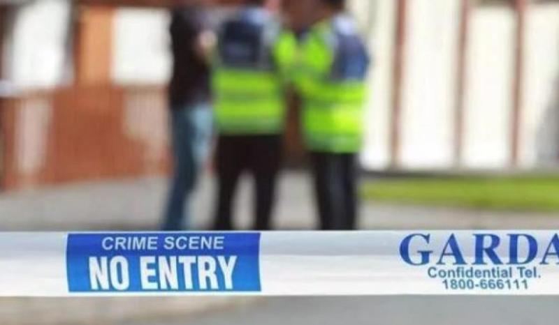 Gardaí in midlands investigating second serious assault and urge people not to share video footage of incident  