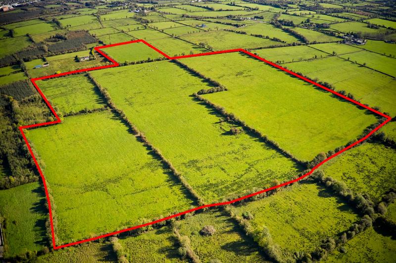Superb seventy acre Longford farm goes under the virtual hammer