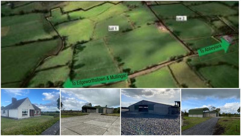 Longford farm ‘exceeds all expectations’ as it sells for a stunning €1.38m 