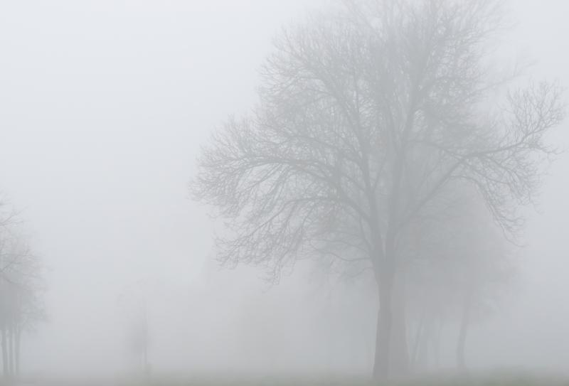 WEATHER ALERT: Met Éireann issues Status Yellow fog warning for Longford and eleven other counties