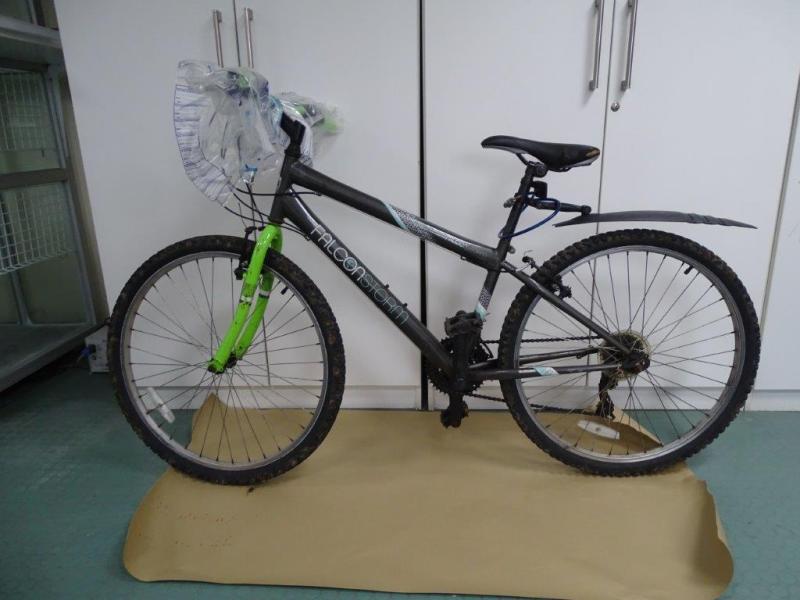 Gardai appeal for information on 'distinctive' bike as investigation into Ashling Murphy murder continues