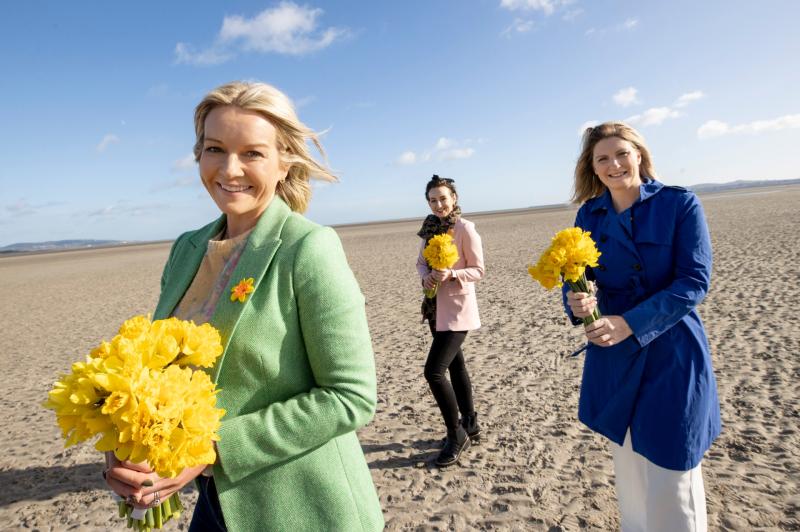 Volunteer Needed: Irish Cancer Society seeking Daffodil Day community organiser for Longford town
