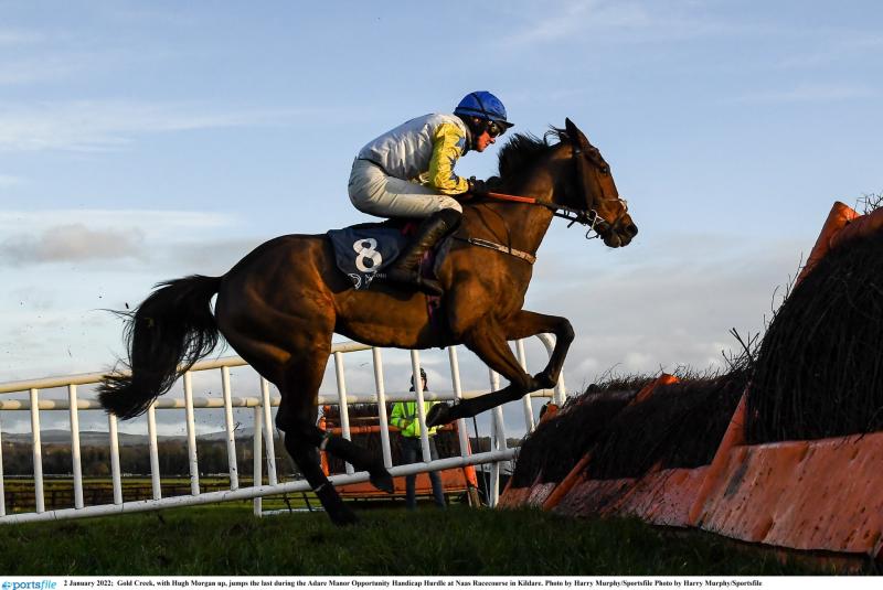 Tips and analysis for Sunday’s card at Naas