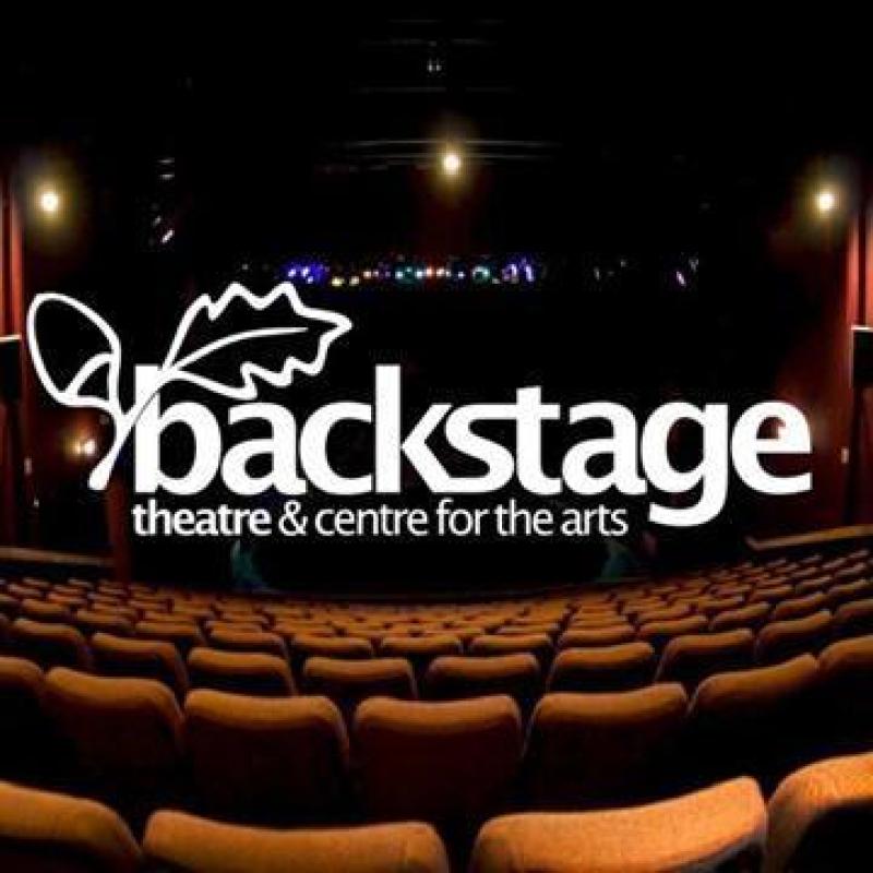 Positive news for Longford as key arts organisation receives funding boost