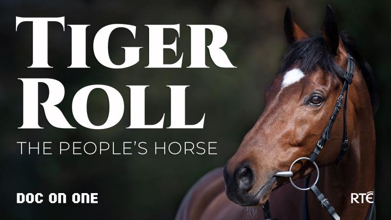 New documentary to tell the story of Ireland's Grand National hero Tiger Roll