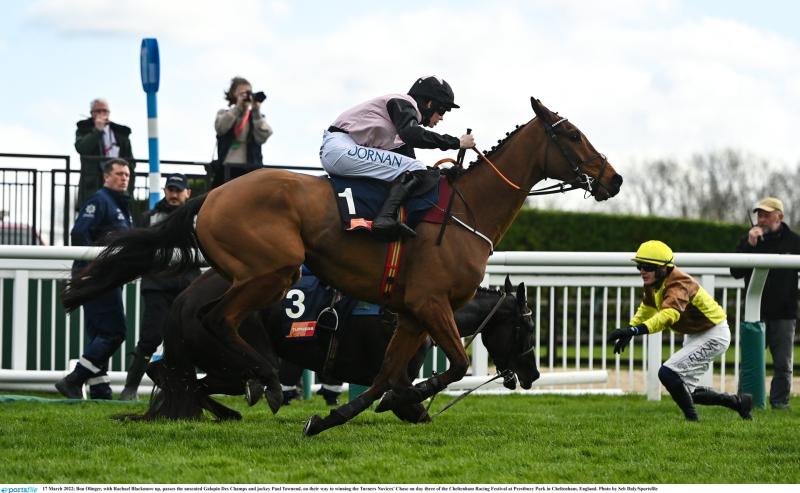 Bob Olinger wins dramatic opening race at Cheltenham on St Patrick's Day