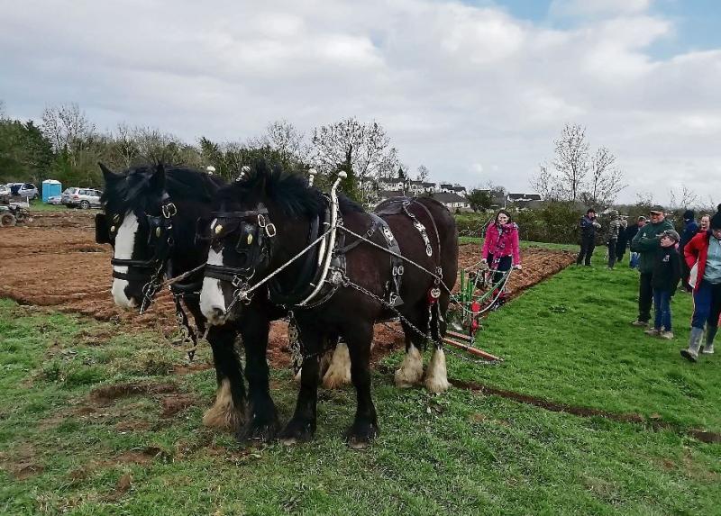 Countdown underway to eagerly anticipated Longford Ploughing Championships in Granard 