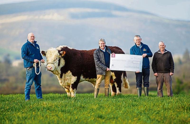 Hooves 4 Hospice