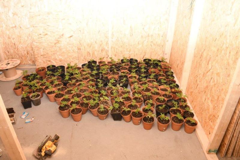 Gardai in Midlands seize €200,000 worth of drugs, car and mobile phones