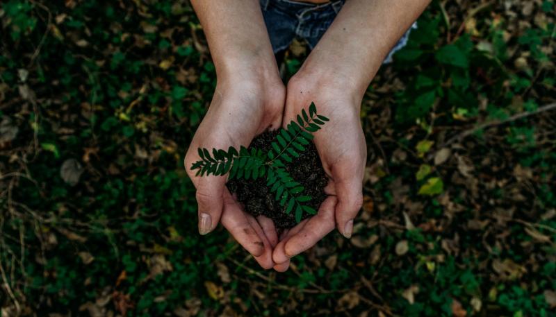 Irish businesses urged to prepare now for new EU corporate sustainability reporting standards  