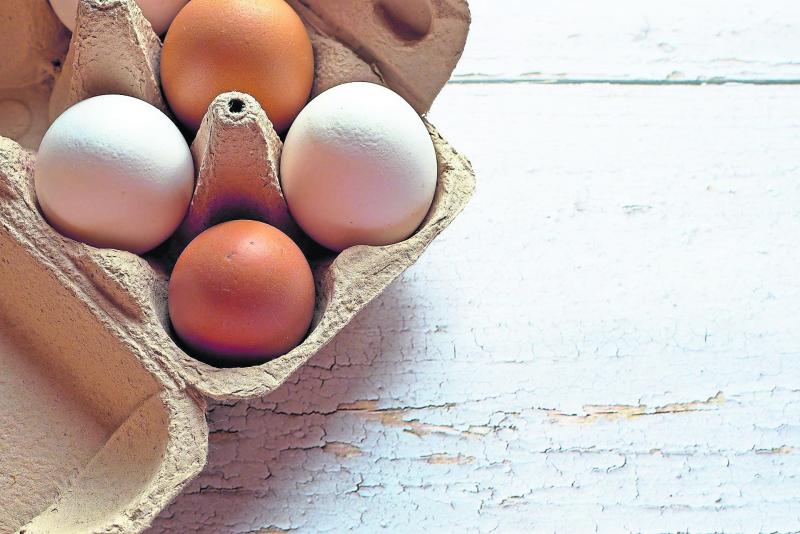 Egg producers under pressure as costs hit margins