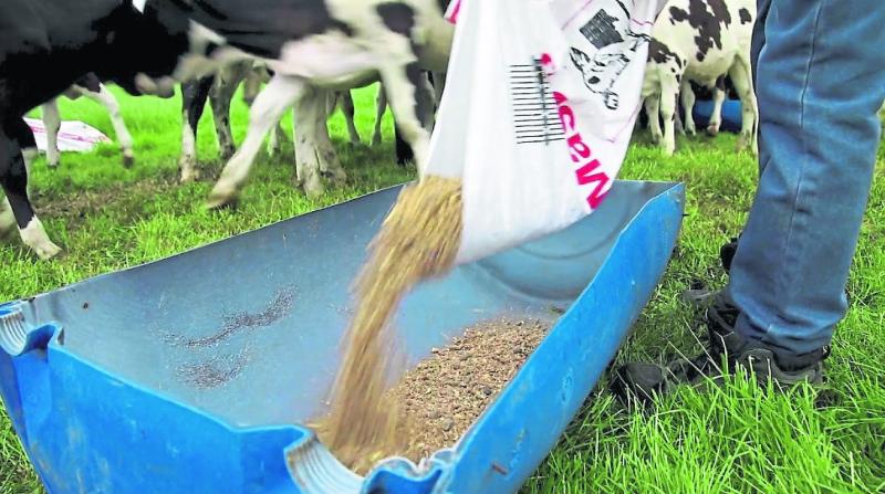 Better farm prices wiped out by input costs
