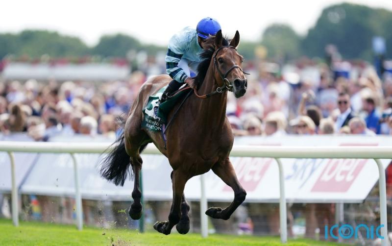 'I think Ireland is very unlikely' - Lonsdale Cup hero likely to skip Irish St Leger