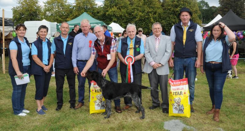 Longford dog crowned Champion Dog of the Show in Strokestown 	