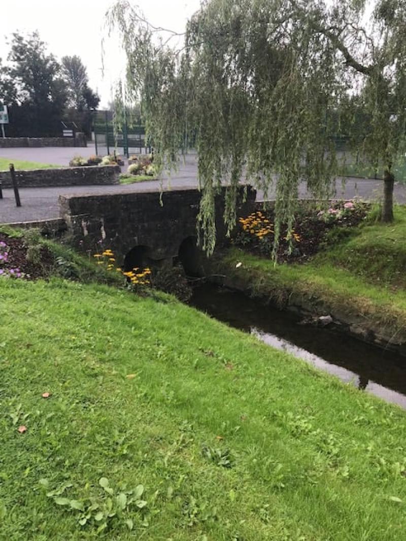 Funding to enhance biodiversity on Edgeworthstown Green 