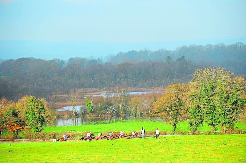 Longford Harriers Point to Point racing action