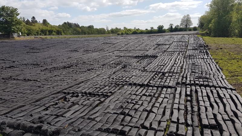 Midlands turf cutting contractor fined for illegal extraction 