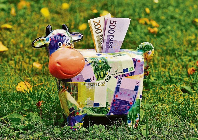 There are important changes to the schemes that replaces the Basic Payment Scheme, this year.