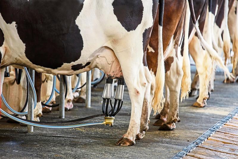 Longford farmers hear ICMSA demand ‘hold’ on milk price