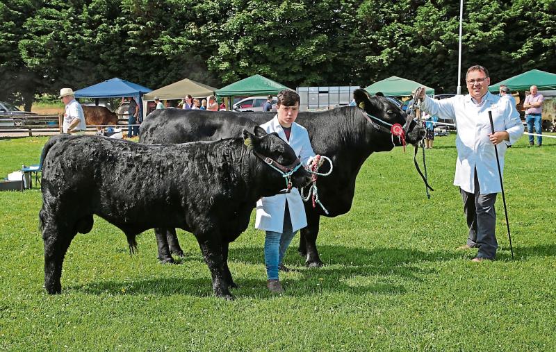 Granard gets set  to host 72nd Agricultural  Show