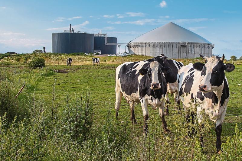 Longford has the potential for a biomethane industry
