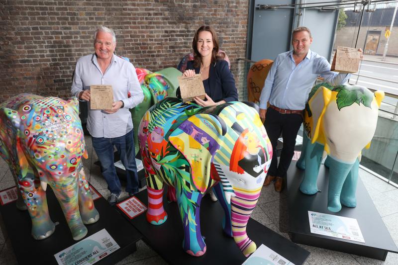 Longford business woman promoting positive mental health