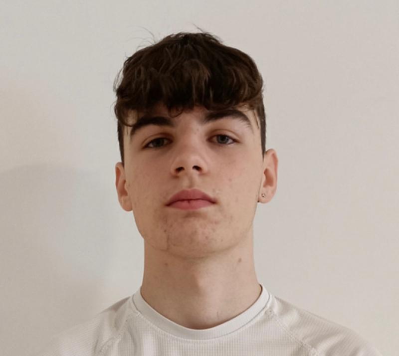 Gardai issue appeal over teen missing in Laois