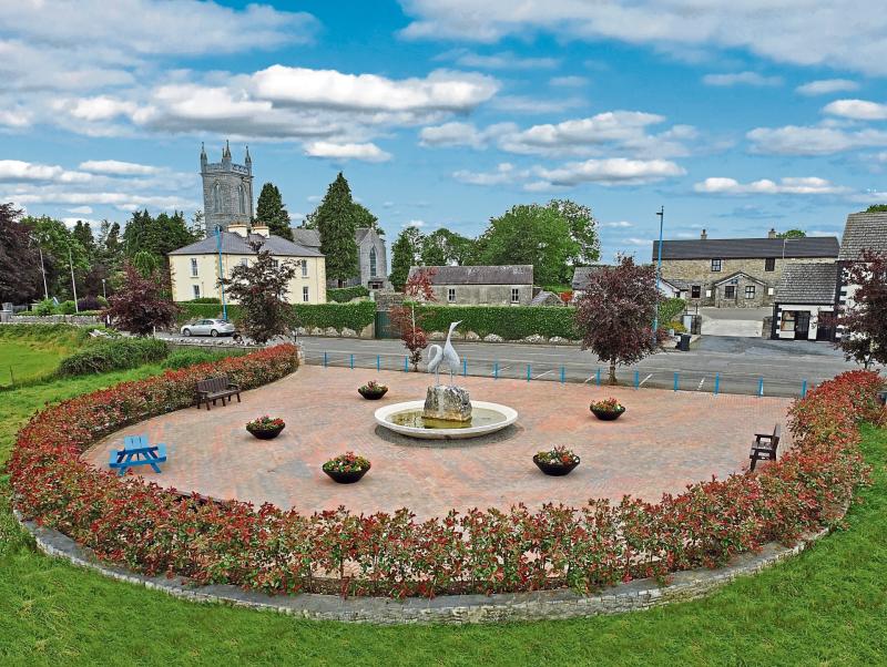 Newtowncashel Tidy Towns planning for 2024