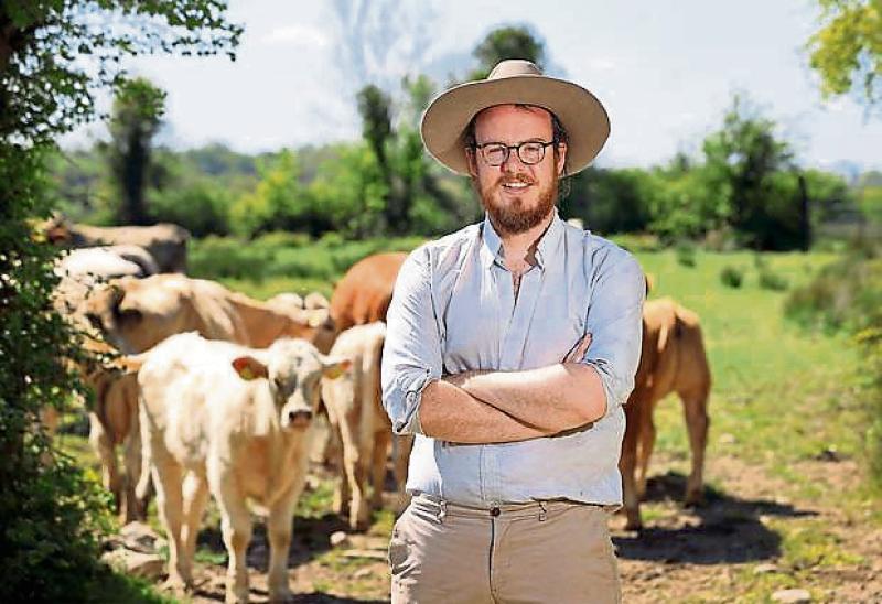 Longford writer's 'love letter' to livestock gets UK publisher