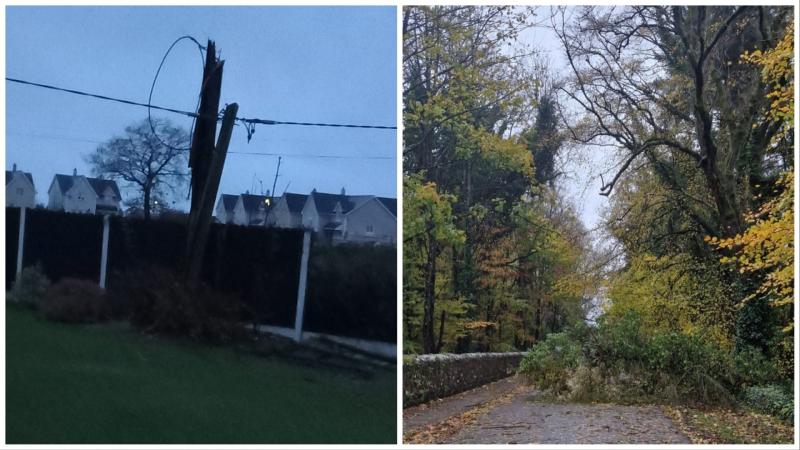 Longford road and rail travel severely disrupted by Storm Debi Fallen trees 