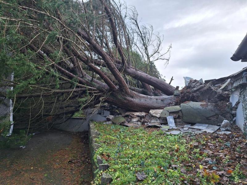 Major disruption as Storm Debi leaves her mark in Longford