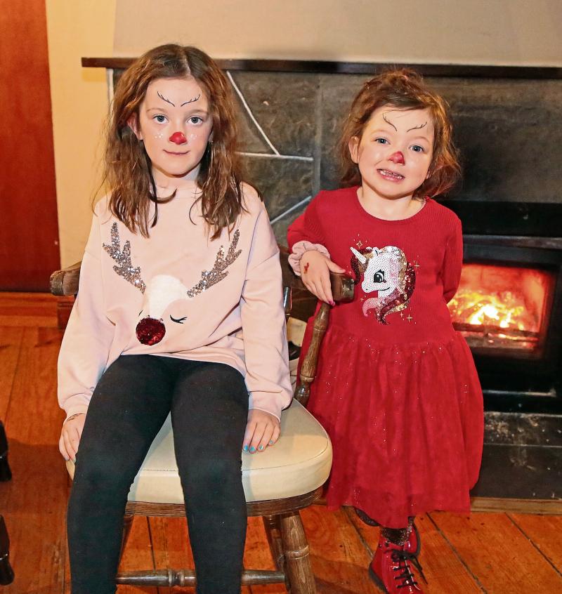 Colmcille Ploughing Association get into the Longford Christmas spirit