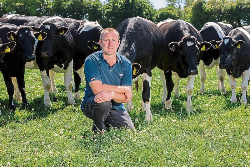 ICMSA say Government intervention can provide solution 'quickly and cleanly' to VAT issue
