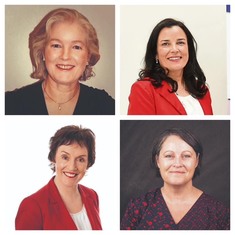 Free election training from See Her Elected in Longford Women’s Link