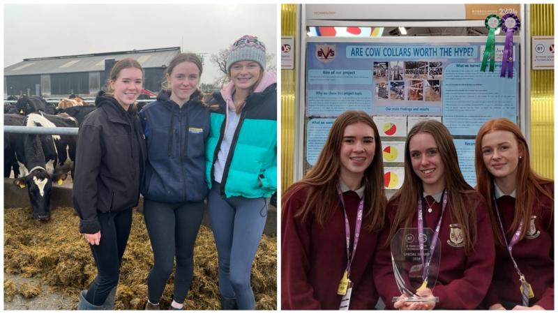 Longford students win Farm Sustainability Award at BT Young Scientist & Technology Exhibition
