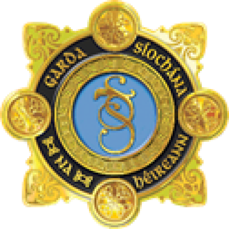 Policing Authority and An Garda Síochána jointly fund well-being research