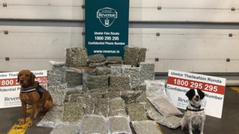 Revenue seizes €1m worth of illegal drugs sent to Ireland from Spain