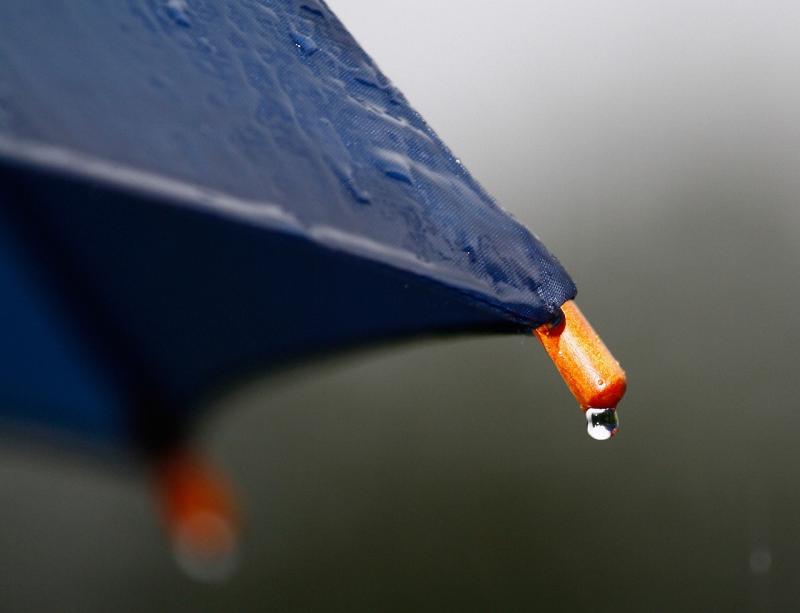Met Éireann data confirms March was one of the wettest on record