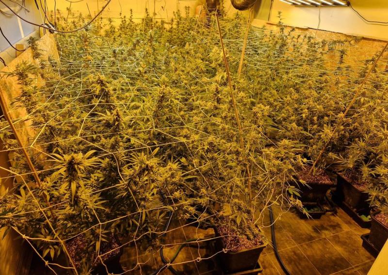 Longford garda&iacute; assist with &euro;880k drugs busts in Roscommon under&nbsp;Operation Tara