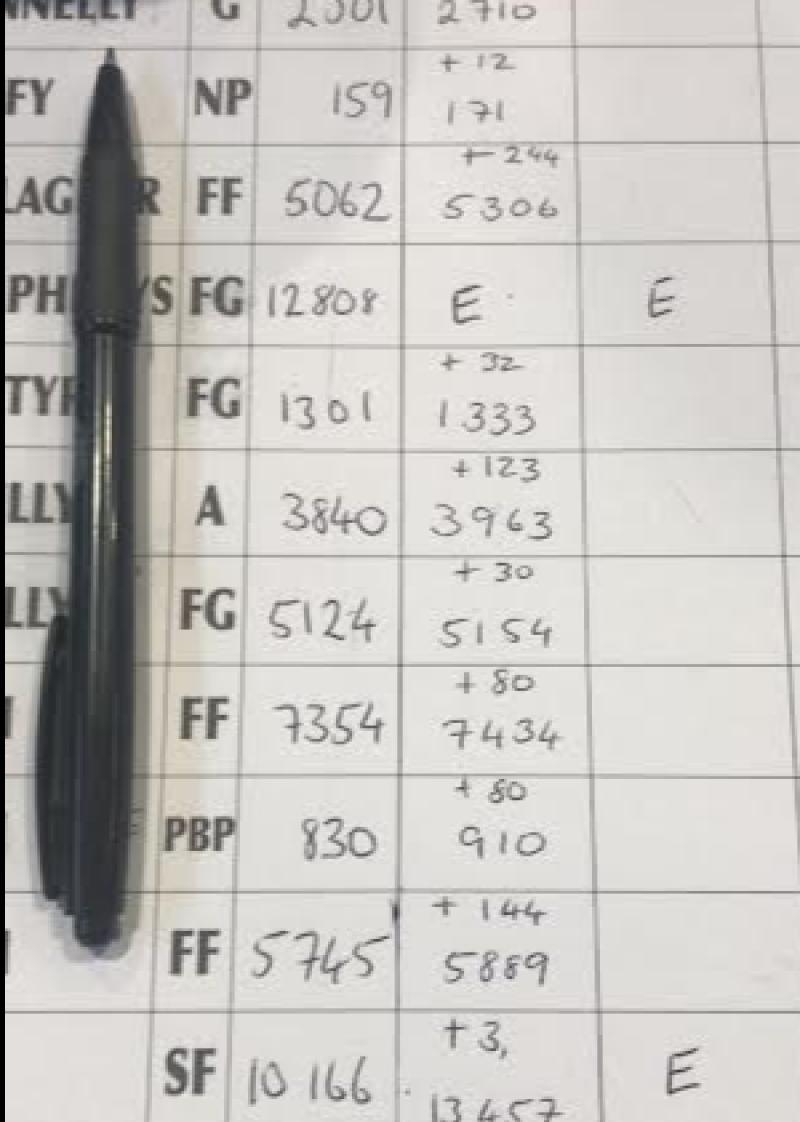 Major Electoral Register update campaign launched by Longford County Council