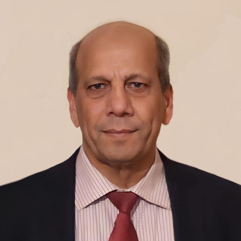 Longford Local Elections 2024: Mujahid - ‘Let's fly high as one for change’