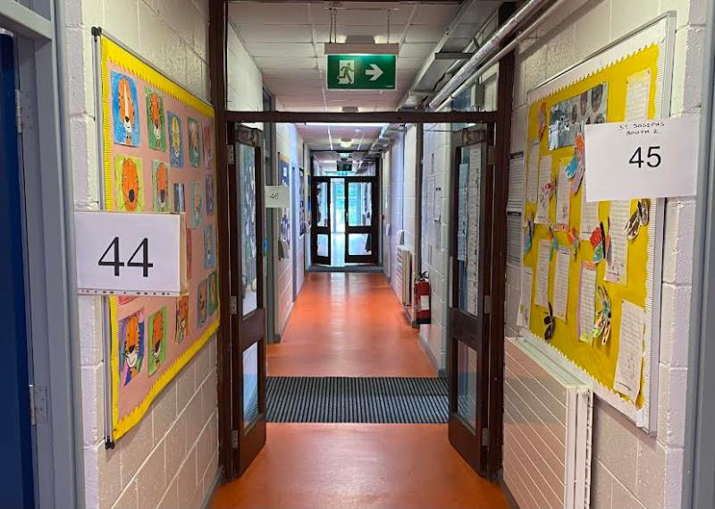 Steady turnout as Longford voters cast ballot