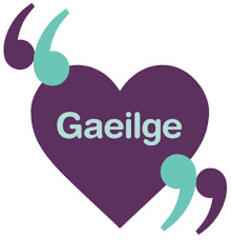 Longford pupils recognised for their grá of Gaeilge