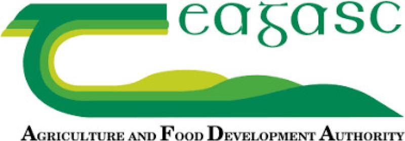 Longford Farming: Teagasc National Beef Open Day