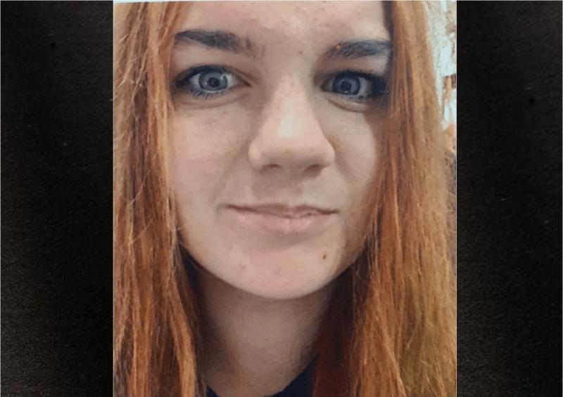Garda&iacute; in urgent appeal to public as 16-year-old girl goes missing in Wexford 