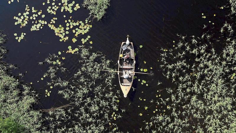 Longford's Lee triumphs with photo of Lough Ree 